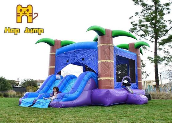 ต้นปาล์มสีฟ้า Kids Inflatable Jumping House 13 * 13ft